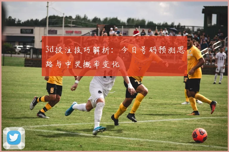 3d投注技巧解析：今日号码预测思路与中奖概率变化