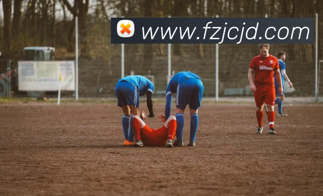 世界杯官网登录app发展历程